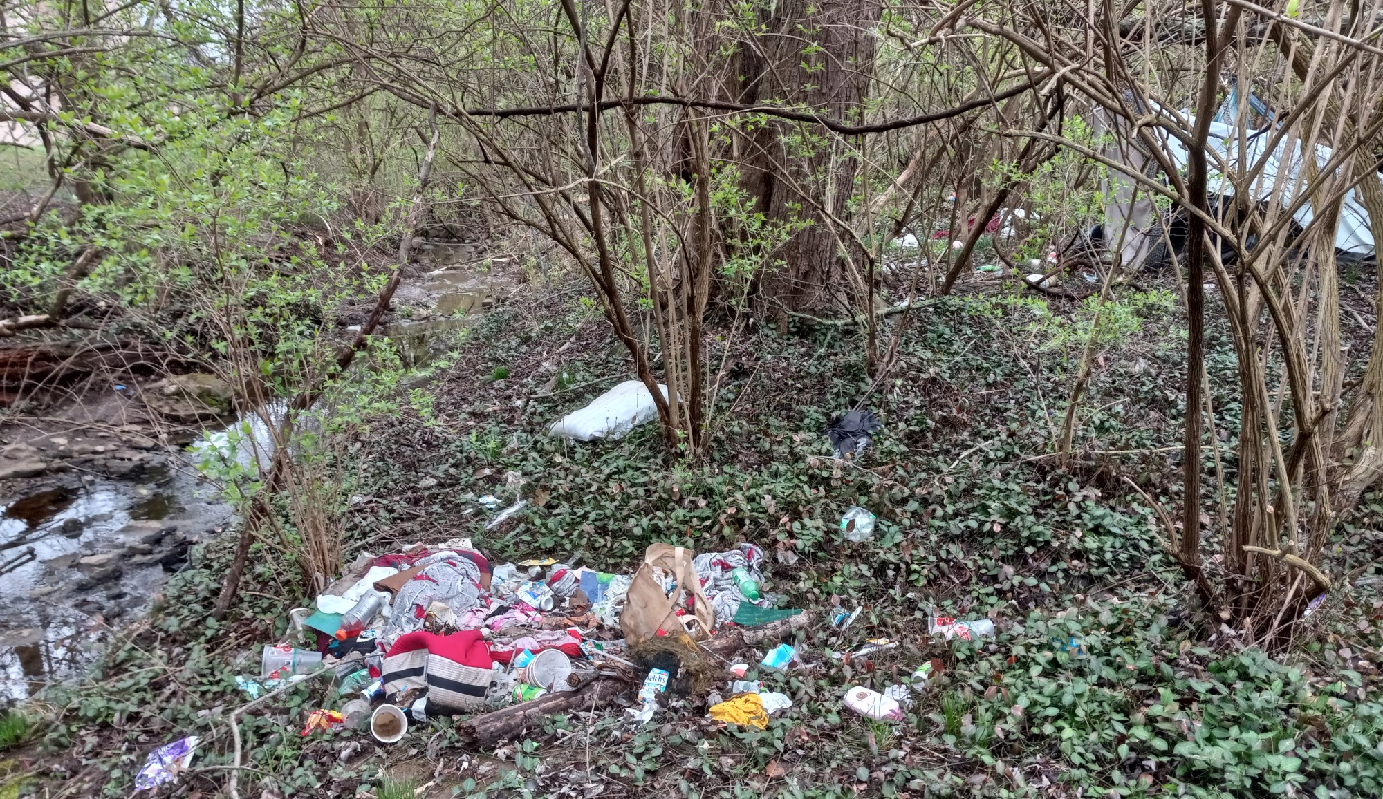 trash strewn along a stream in my neighborhood park